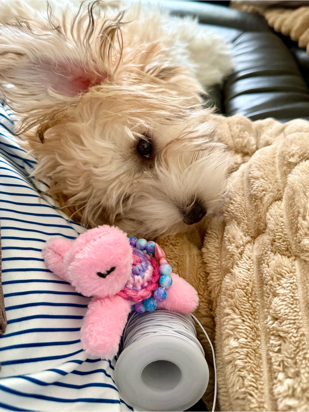 Pink plush toy turtle with crocheted with small turtle gemstone bracelet!